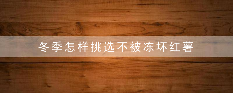 冬季怎样挑选不被冻坏红薯 冬季如何挑选不被冻坏红薯